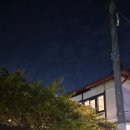 새현대약국 | [공지] 목향장미 명소 진해 ‘송학커피’, 오래된 가옥을 살린 감성과 리모델링