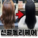 양천구미용실 신월동 리헤어 흑발+볼륨매직+영양 솔직후기