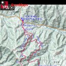 자작나무숲정상 이미지