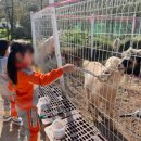 신동아농장 이미지