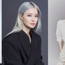 에이스스포츠 이미지