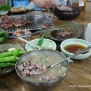 고수목마
