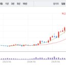 에이치디현대미포 주식회사 - 8768 | 에이치디현대미포 주식회사