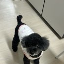 뷰티샤넬 네이버블로그
