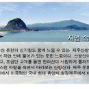 산방산온천게스트하우스 이미지