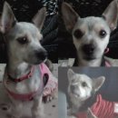 도봉-도봉-2068 이미지