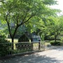 샘마을어린이공원 이미지