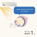 덕산통A앞 - 좌 | 목동제일여성병원 제왕절개 출산 자세한 후기 1일차 입원 김언아 원장님