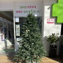 봄약국 앞 이미지