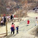 아양사랑숲 이미지