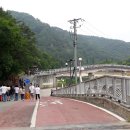 지정면 (장지동)