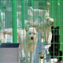 제언농장 이미지