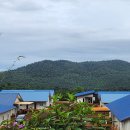 김희수농장 이미지