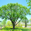 부산시민공원 이미지