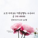바울복사 이미지