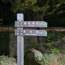 쌍계1교 이미지