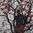 금오도황토민박 이미지