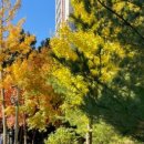 (주)한주약품 이미지