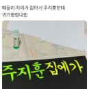 주지훈 집에 가 이미지