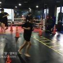엘복싱 이미지