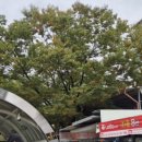 GS25 구로미성점 이미지