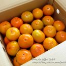 11305-18-5-5 이미지