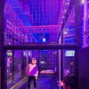 카페캘리 이미지