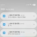 바램펫 밀리 자동급식기/웰리2 스마트 정수기 후기