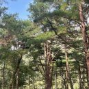 마이산 풍혈냉천 캠핑장 이미지