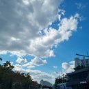 상화농장 이미지