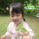 실내초병설유치원 이미지