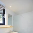 제주토끼 이미지