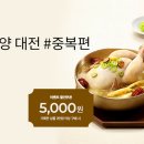 보양