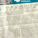 스테디독 이미지