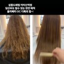 살롱드해밀 강서화곡까치산 본점 | 강서구 머리복원미용실 살롱드해밀