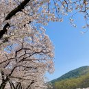 송해공원 제3주차장(1) 이미지