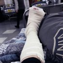 머꼬갈래 이미지