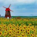 교동면 난정저수지 이미지