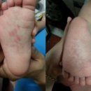 리틀올리브어린이집 이미지