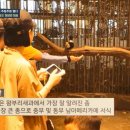 동물원카페