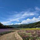 상림공원 주차장 | [함양여행] 함양 상림공원 산책 후기ㅣ주차장