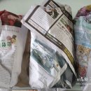 해피송가네농장 | 평창해피송가네 롱그린풋고추 & 아삭이고추 - 고추김치담기