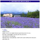 ♣6/3(토)최북단 오지마을 소똥령 트레킹과 보라빛 라벤더 향기 6월의 이야기속으로~ 이미지