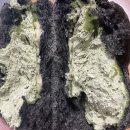 바오밥나무 스탠딩커피 | 5월 일상 랜덤