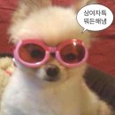 신한안전