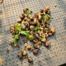 가야농약사 이미지