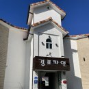 경포파인 | 강릉 경포대 가성비펜션 경포파인펜션 내돈내산 후기