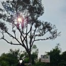 이골프주