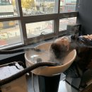 영미용실 이미지