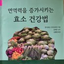 면역력을 증가시키는 효소 건강법 - 후지모도 다이사부로 지음 ** 이미지